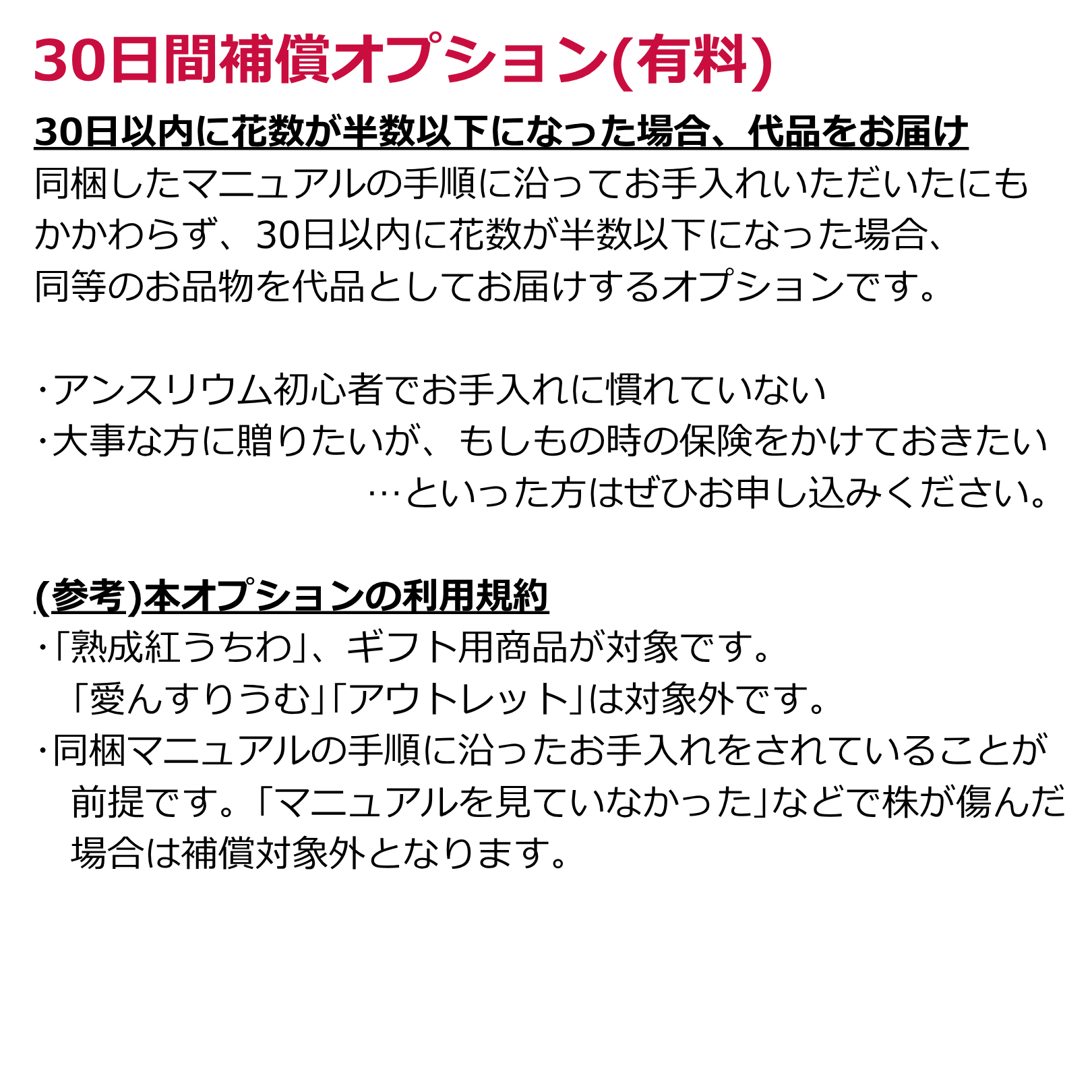 アンスリウム for GIFT 『スタンダード』高さ95cm/鉢直径30cm ※ラッピング・立札込