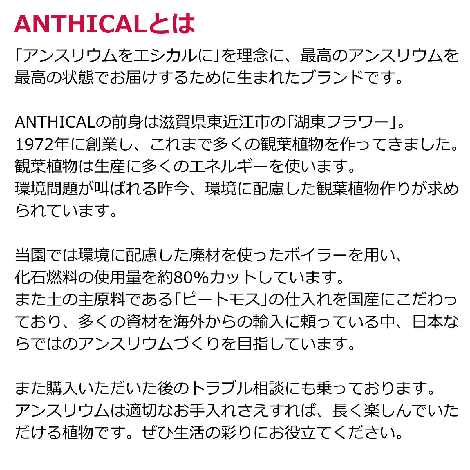 「紫」 熟成紅うちわ 7-11号