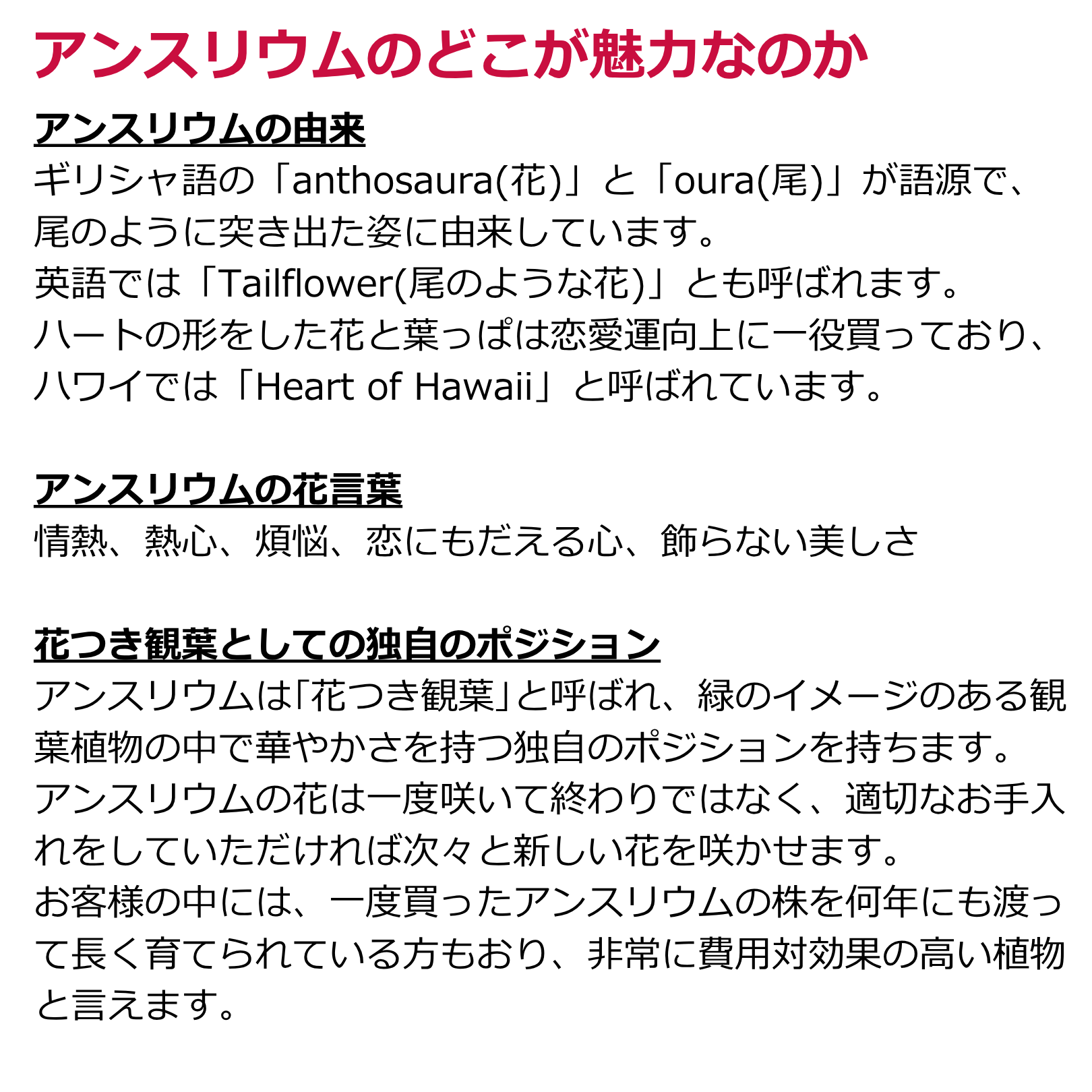 「紫」 熟成紅うちわ 7-11号