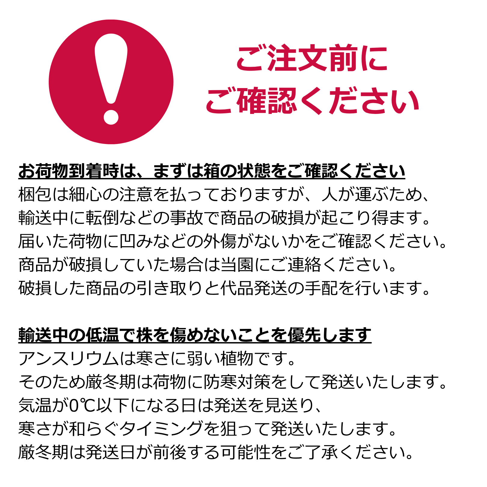 「紫」 熟成紅うちわ 7-11号