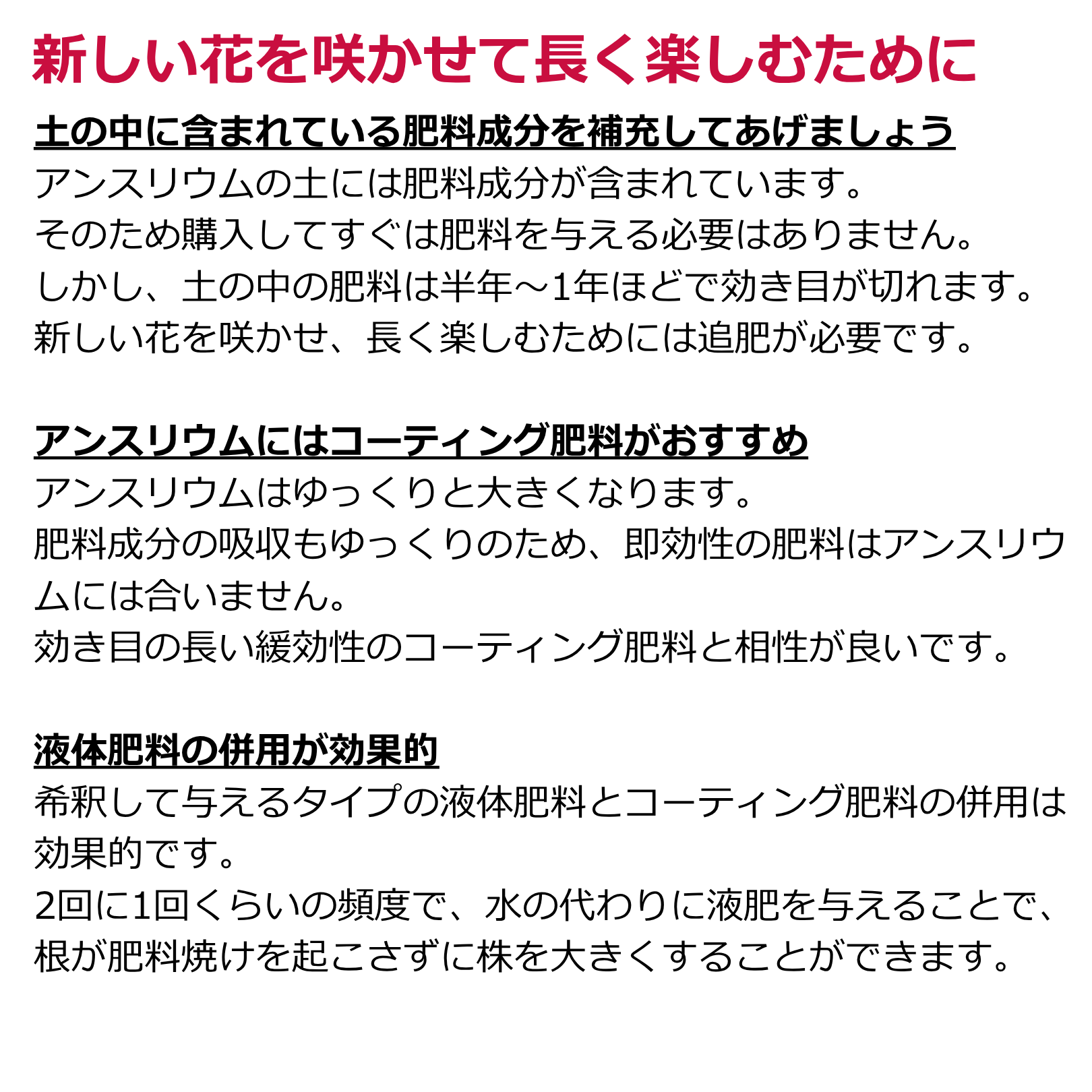 アンスリウム専用肥料