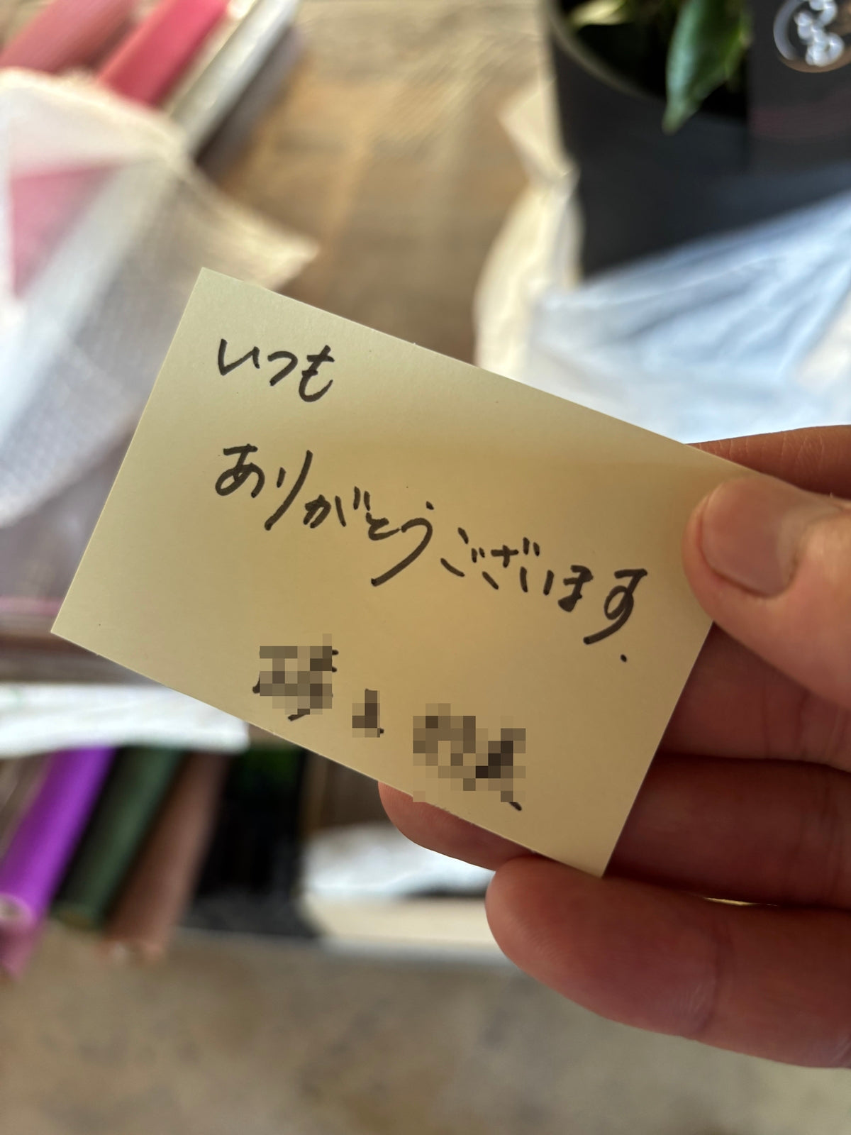 アンスリウム for GIFT 『プレミアム』高さ95cm/鉢直径33cm　※ラッピング･立札込